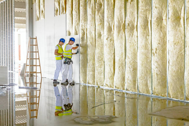 Best Insulation for Specific Applications in Covington, LA
